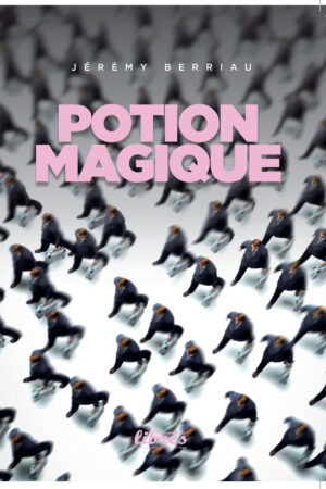 Potion Magique, Livre de Jeremy Berriau